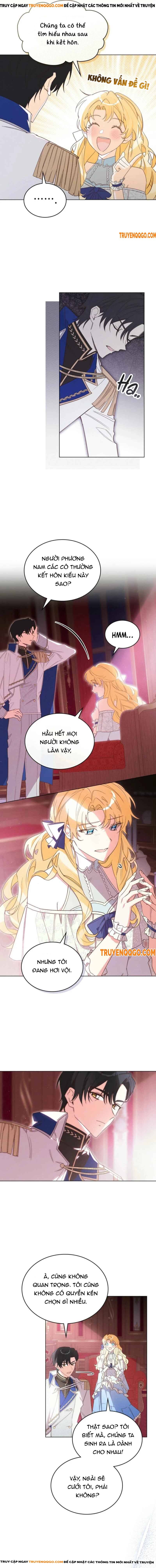 Chồng Đang Truy Tìm Tôi - chap3 - Trang 3